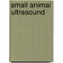 Small Animal Ultrasound