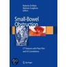 Small Bowel Obstruction by Roberto Di Mizio