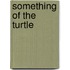 Something Of The Turtle