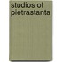 Studios Of Pietrastanta