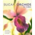 Sugar Orchids For Cakes