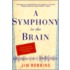 Symphony In The Brain,A