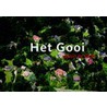 Het Gooi vanuit de lucht