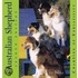 The Australian Shepherd