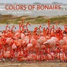 Colors of Bonaire