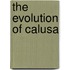 The Evolution of Calusa