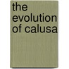 The Evolution of Calusa by Randolph J. Widmer