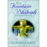 The Fountain Of Shiloah door Hannah Amit