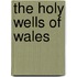 The Holy Wells Of Wales