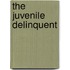 The Juvenile Delinquent