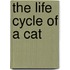 The Life Cycle of a Cat