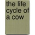 The Life Cycle of a Cow