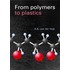 From Polymers to Plastics