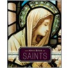 The Mini Book of Saints door Diana von Glahn