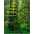 The Olympic Rain Forest