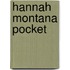 Hannah Montana pocket