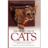 The Secret Life of Cats by Claire Bessant