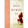 The Space Between Us Lp by Thrity Umrigar