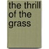 The Thrill of the Grass