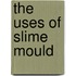 The Uses Of Slime Mould