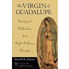 The Virgin Of Guadalupe by Maxwell E. Johnson