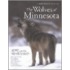 The Wolves of Minnesota