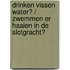 Drinken vissen water? / Zwemmen er haaien in de slotgracht?