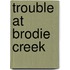 Trouble At Brodie Creek