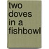 Two Doves In A Fishbowl