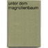 Unter dem Magnolienbaum