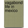 Vagabond Life In Mexico by Gabriel Ferry