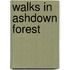 Walks In Ashdown Forest