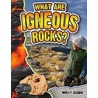 What Are Igneous Rocks? door Molly Aloian