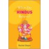 What Do Hindus Believe?