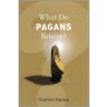 What Do Pagans Believe? door Graham Harvey