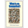 What Is An Evangelical? door David Martyn Lloyd-Jones