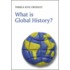 What Is Global History?