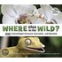 Where Else in the Wild?