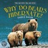 Why Do Bears Hibernate?