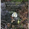 Wild Orchids in Myanmar by Yoshitaka Tanaka