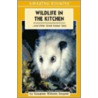 Wildlife in the Kitchen by Roxanne Willems Snopek