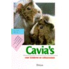 Cavia's by P. Beck