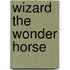 Wizard the Wonder Horse