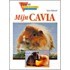 Mijn cavia