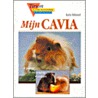 Mijn cavia