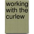 Working With The Curlew