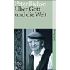 Über Gott und die Welt door Peter Bichsel