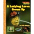 A Ladybug Larva Grows Up