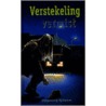Verstekeling vermist