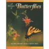A Shimmer of Butterflies door Joni Phelps Hunt